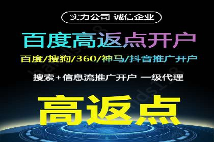 SEM推广策略：成功案例解析
